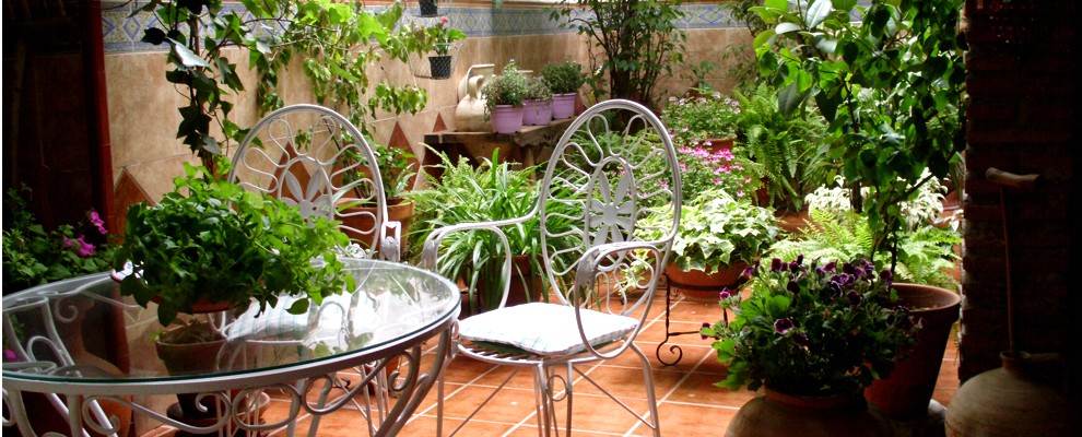 patio to często osobiste wnętrze ogrodowe