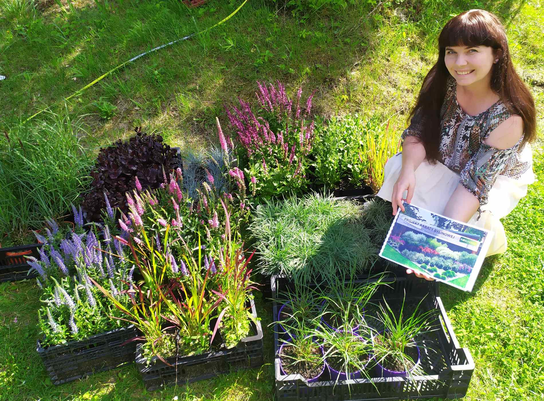 Zestaw roślin wraz z projektem przed zapakowaniem - rabata japońska