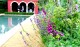 Uzdrawiająca moc roślin - hortiterapia czyli leczenie ogrodami