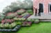 Gotowy projekt ogrodu (rabata) - "Geometryczny ogród przy tarasie" (BEZ SADZONEK)
