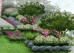 Gotowy projekt ogrodu (rabata) - "Geometryczny ogród przy tarasie" Zestaw (projekt + 163 sadzonki)