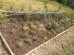 Gotowy projekt ogrodu - "Rabata prowansalska MINI". Zestaw (Projekt + 39 sadzonek)