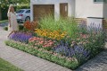 Gotowy projekt ogrodu - 'Rabata Kwiatowa Polana'. Zestaw (Projekt + 61 sadzonek)