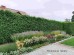 Gotowy projekt ogrodu - "Rabata Zmysłowa MAXI". Zestaw (Projekt + 136 sadzonek).